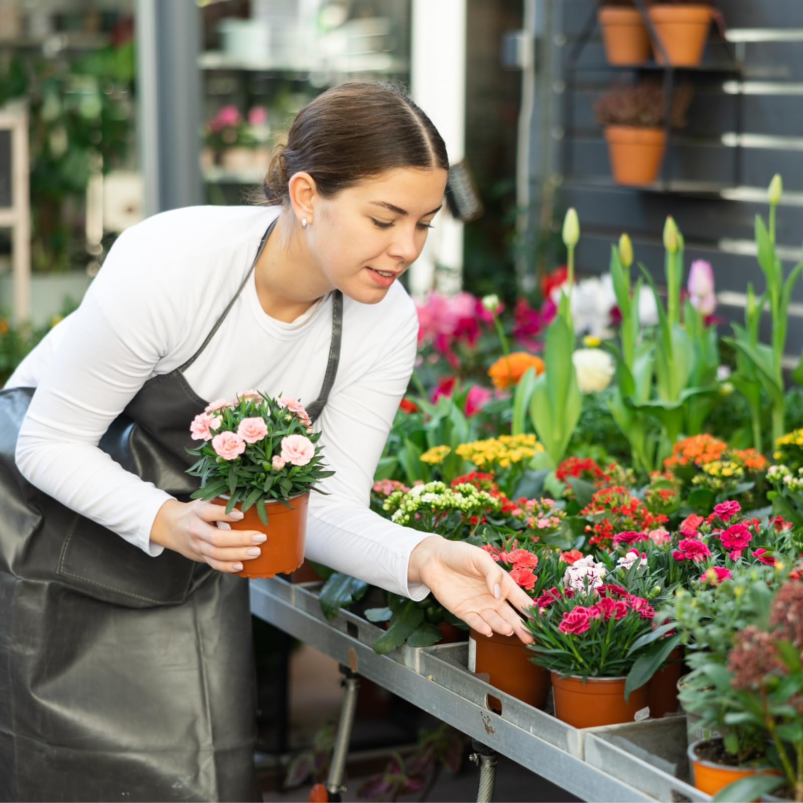 BeapTcely seedling transplant pots for easy garden starting