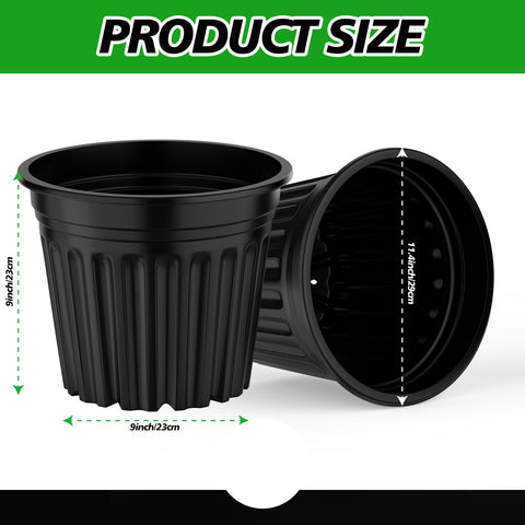 BeapTcely starter pot with large opening for easy transplanting.