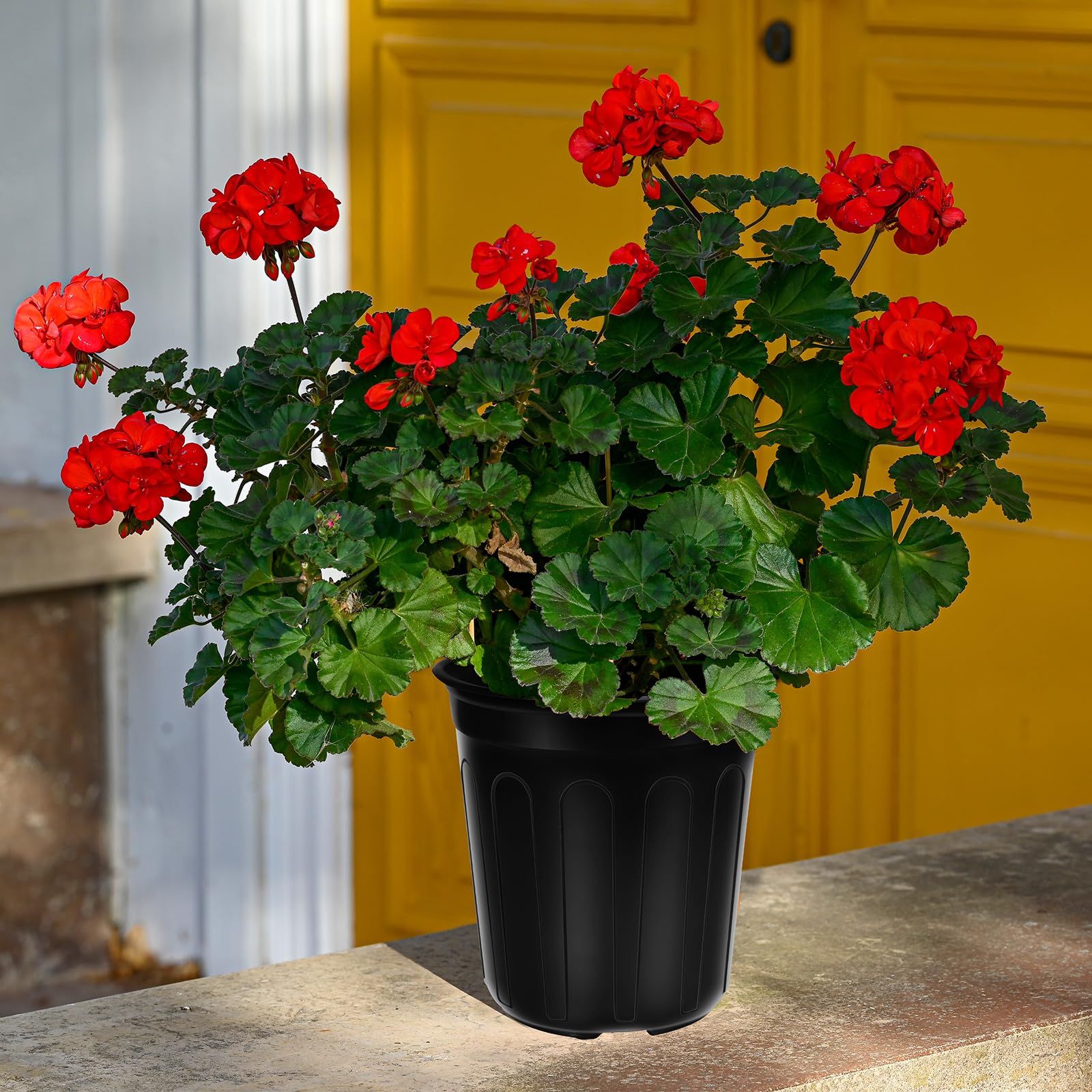 BeapTcely weatherproof pot suitable for outdoor and indoor use
