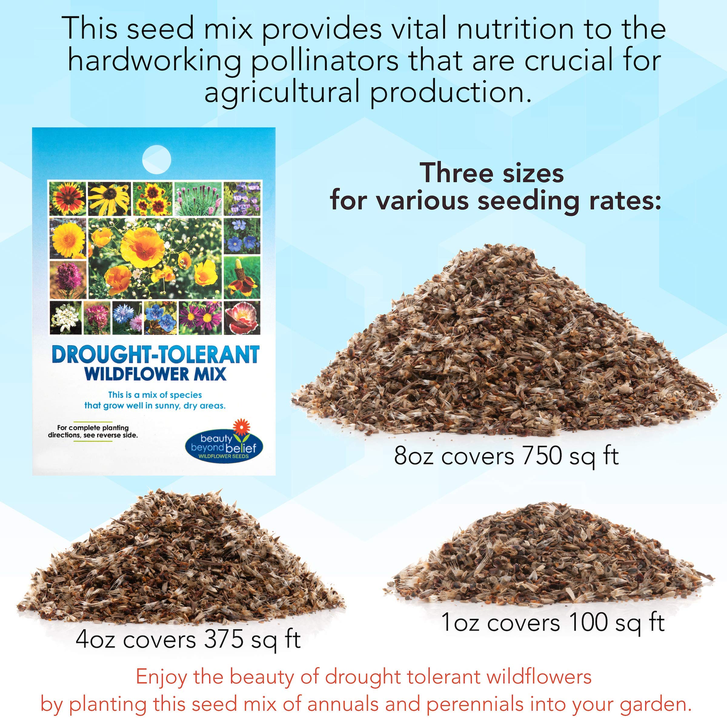 Beauty Beyond Belief 4oz seed packet front label showcases contents