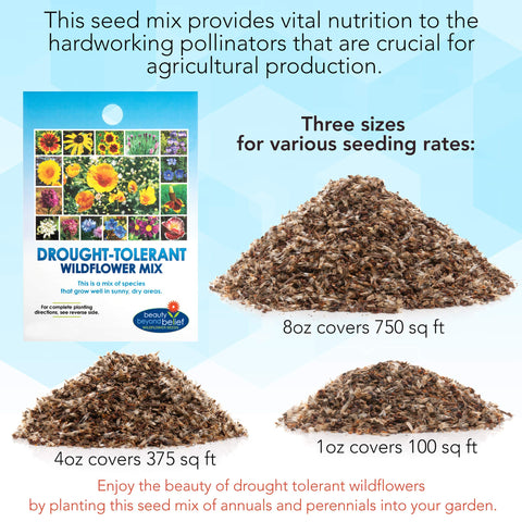 Beauty Beyond Belief 4oz seed packet front label showcases contents