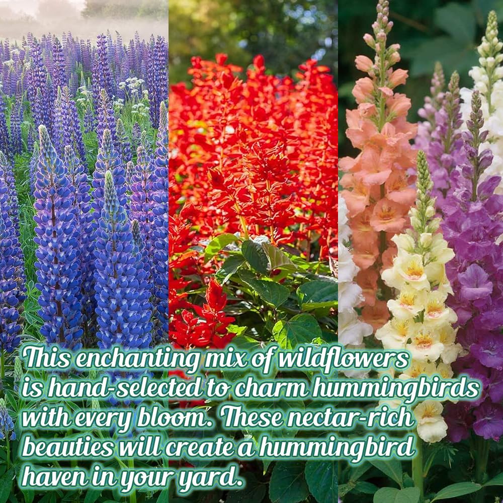Beauty Beyond Belief annual and perennial wildflowers for lasting color.