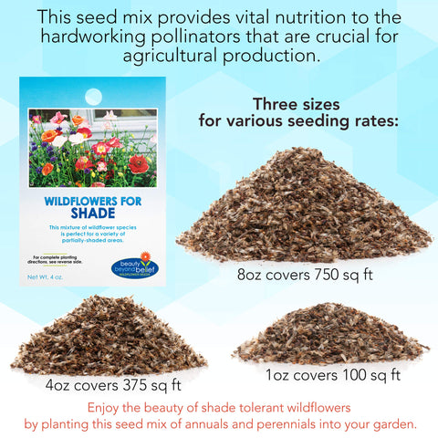 Gift-ready wildflower seed packet for gardeners on holidays.