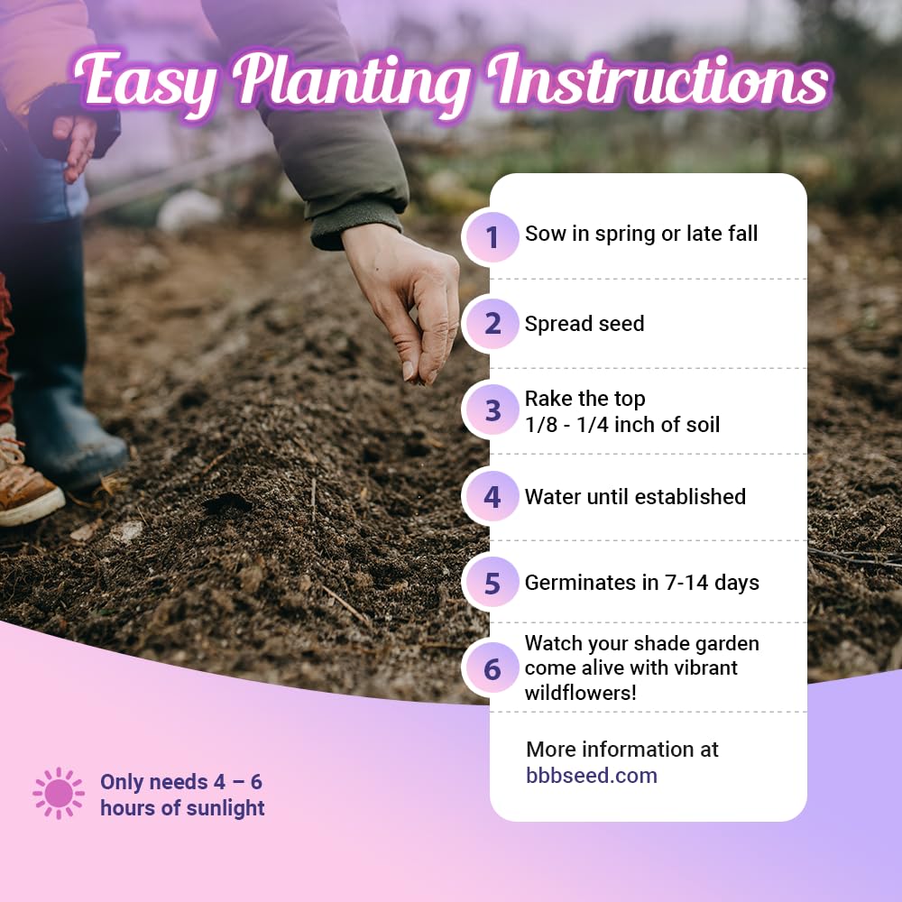 BBB Seed packet shows high-quality seeds designed for 4–6 hours of sun daily.