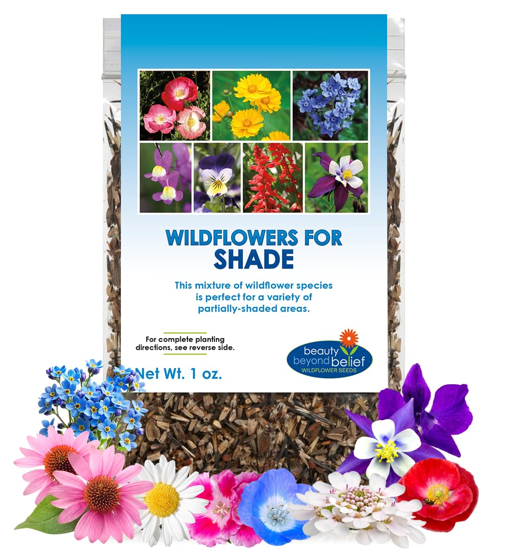 Beauty Beyond Belief BBB Seed partial shade wildflower packet boosts pollinators.