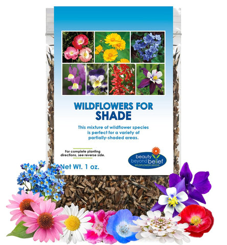 Beauty Beyond Belief BBB Seed partial shade wildflower packet boosts pollinators.