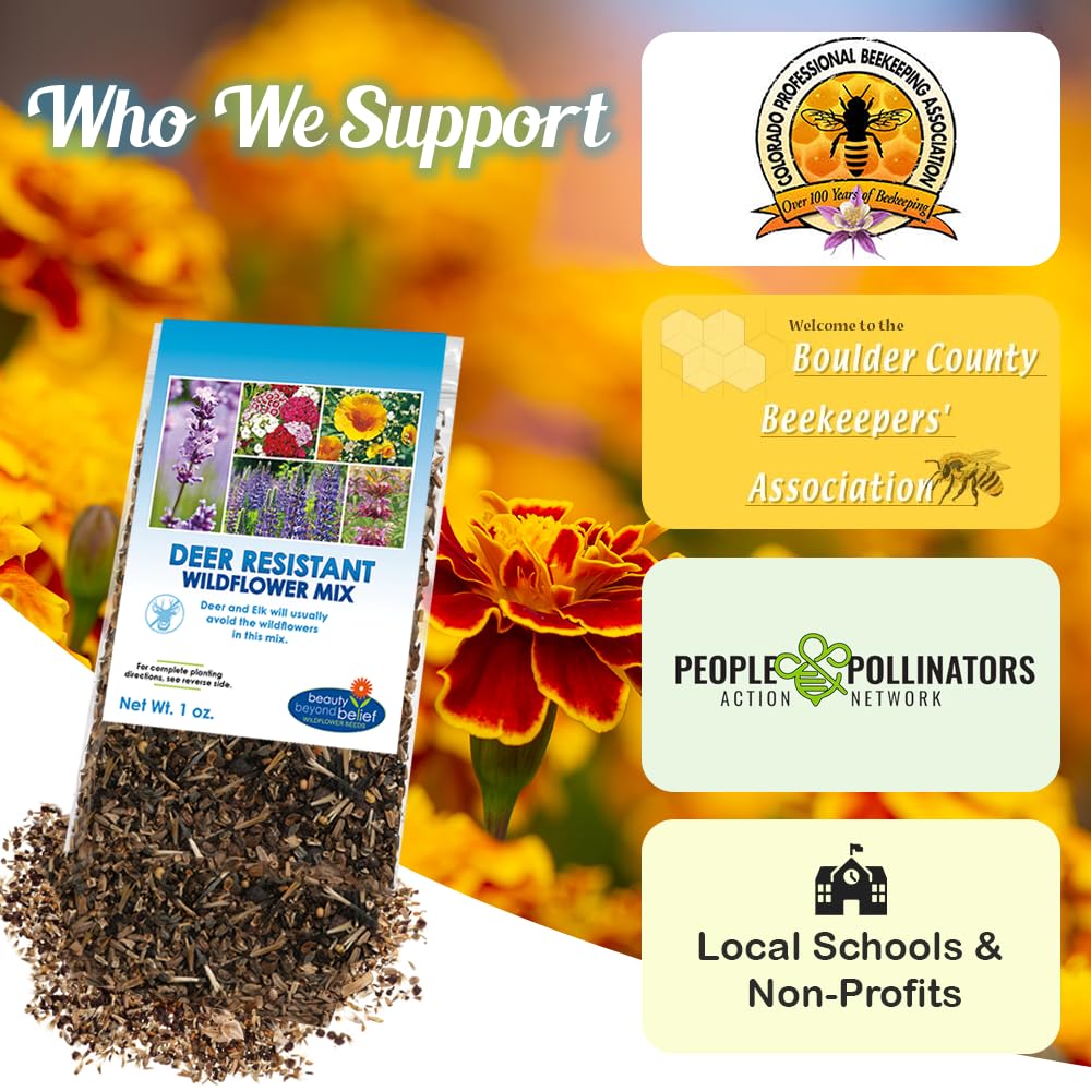 Beauty Beyond Belief gift-ready wildflower seed kit for Christmas gardeners.