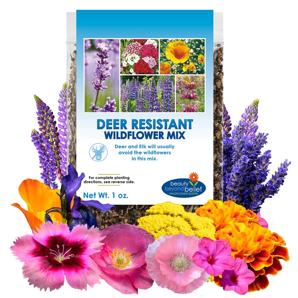 Beauty Beyond Belief deer resistant wildflower seeds 1oz packet for vibrant sunny beds.