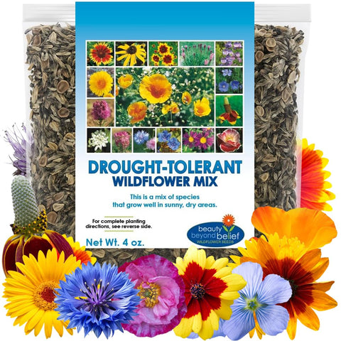 Beauty Beyond Belief drought-tolerant wildflower seeds in a 4oz packet for vivid garden color