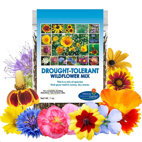 Beauty Beyond Belief drought-wildflower seeds packet for low-water gardens attracting pollinators.