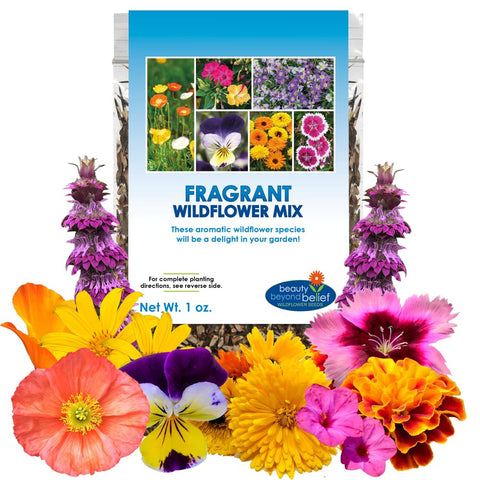 Beauty Beyond Belief fragrant wildflower seeds mix 1oz package ready for planting