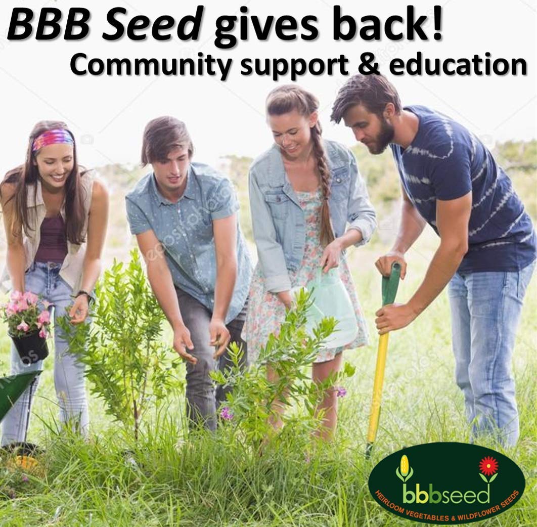 Beauty Beyond Belief gift wildflower seed mix for gardening enthusiasts