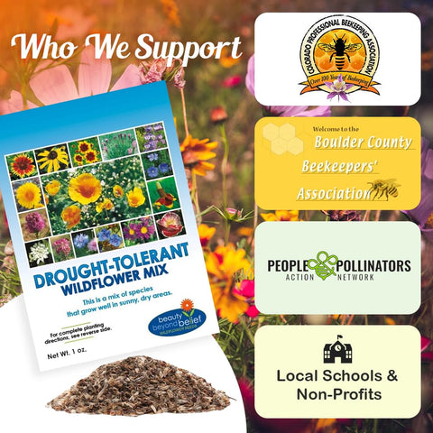 Beauty Beyond Belief hardy wildflower mix ideal for USDA zones 2–9 with vibrant blooms.