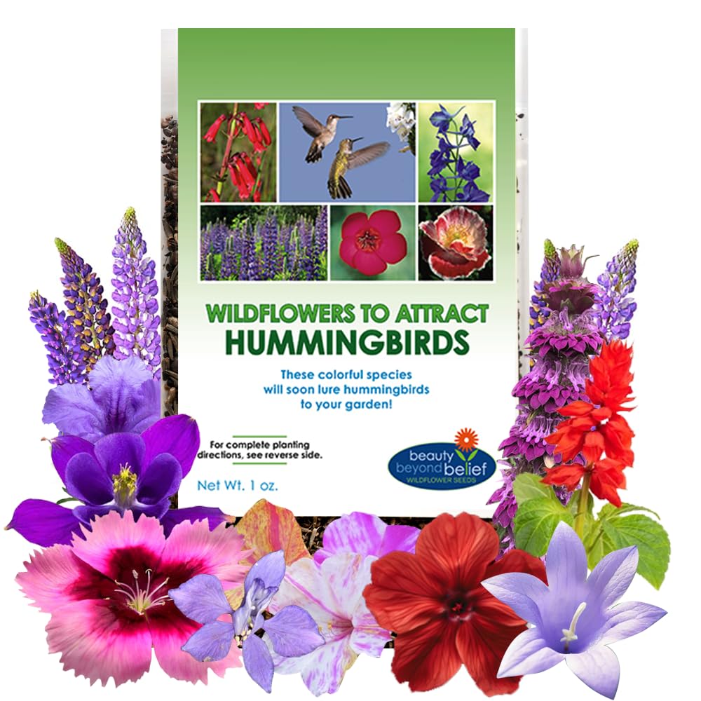 Beauty Beyond Belief hummingbird seed packet with open-pollinated 1oz mix.