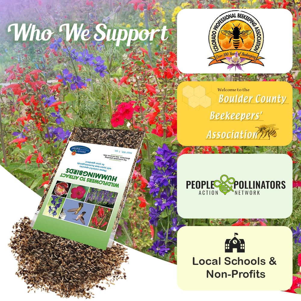 Hummingbird-friendly plants from Beauty Beyond Belief attract nectar birds.