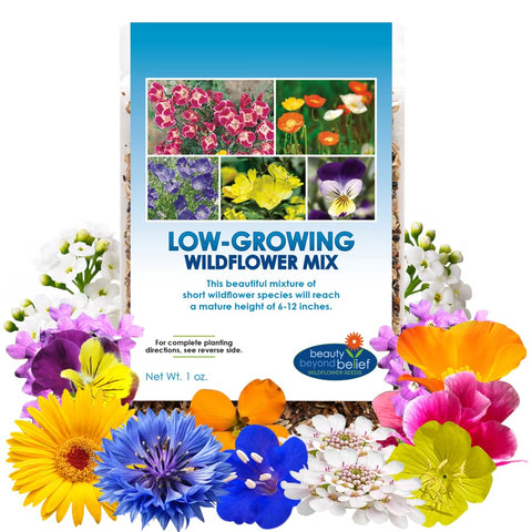 Beauty Beyond Belief low-growing wildflower seeds 1oz pack front enhances compact garden borders.