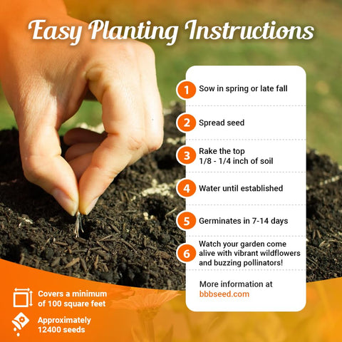 Beauty Beyond Belief garden-ready-blend enables easy sowing for budding monarch habitats.