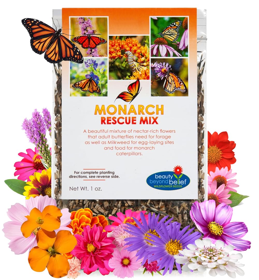 Beauty Beyond Belief Monarch Butterfly Rescue seed packet packaging highlights premium seeds for pollinator-friendly gardens.