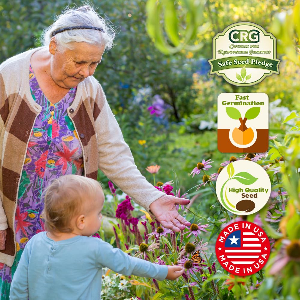 Beauty Beyond Belief pollinator-friendly-blend attracts monarchs and other pollinators in your garden.