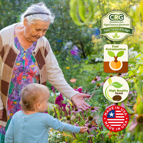 Beauty Beyond Belief pollinator-friendly-blend attracts monarchs and other pollinators in your garden.