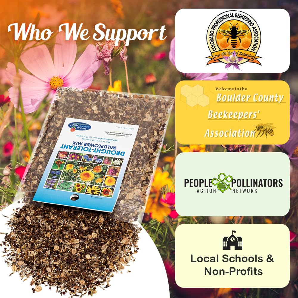 Beauty Beyond Belief no-fillers seed mix for clean sowing and reliable germination
