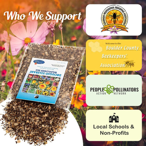 Beauty Beyond Belief no-fillers seed mix for clean sowing and reliable germination