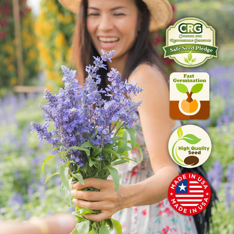 Non-GMO seeds from Beauty Beyond Belief in a pollinator-friendly mix.