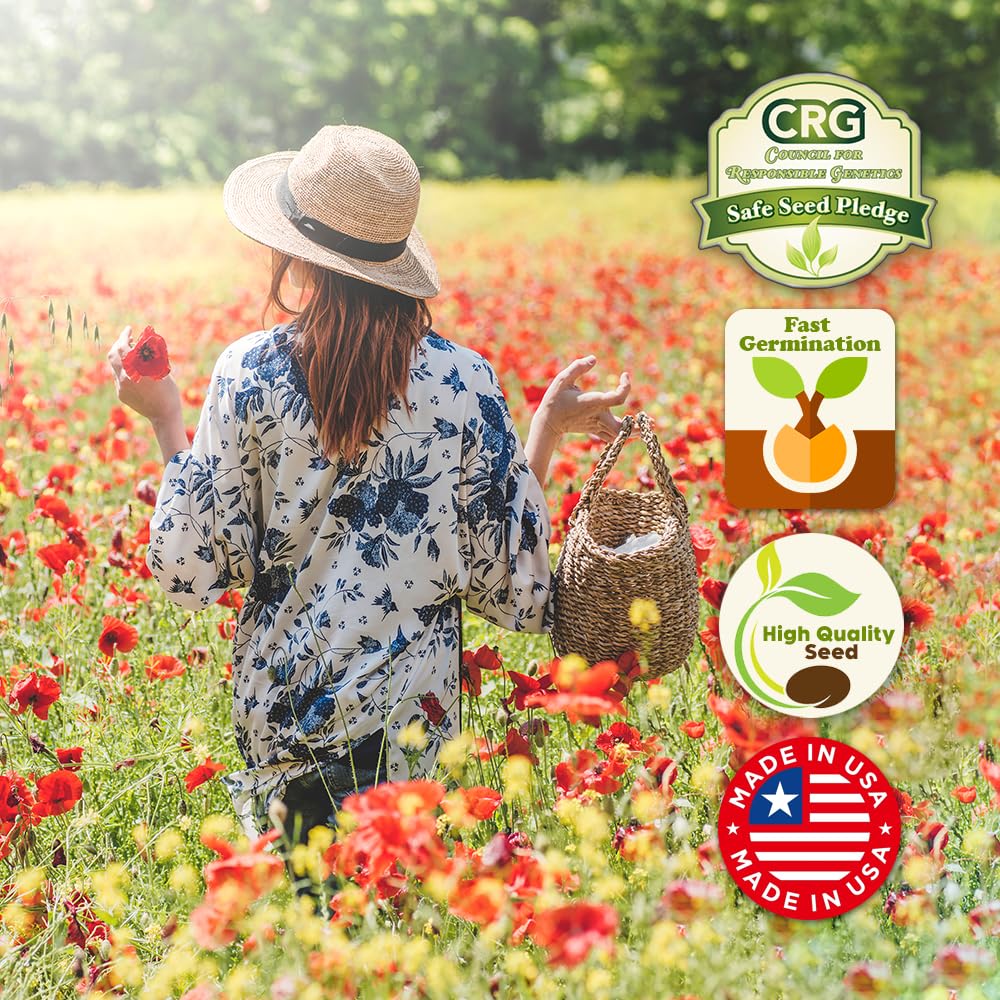 Beauty Beyond Belief Open-pollinated seed mix for annual color.