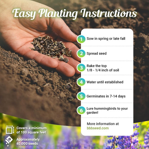 Open-pollinated seeds from Beauty Beyond Belief for flexible gardening.