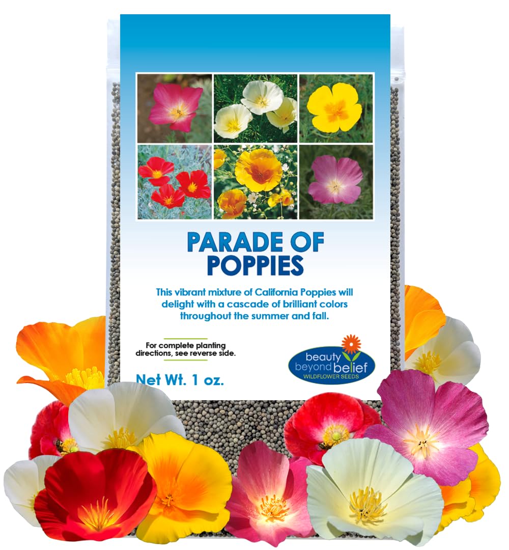 Beauty Beyond Belief Parade of Poppy seeds 1oz packet ready to plant.