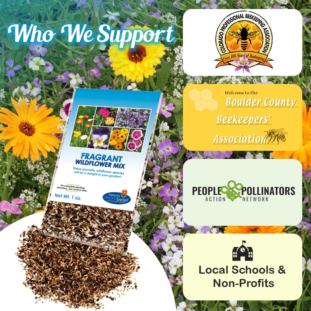 Beauty Beyond Belief fragrant wildflower seeds mix butterfly-friendly garden idea