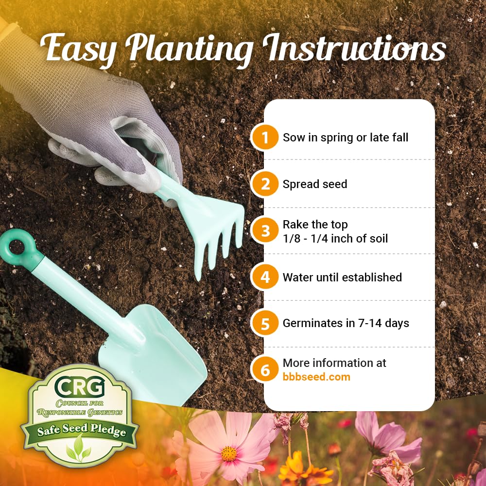 Beauty Beyond Belief pollinator-friendly wildflowers designed for dryland landscapes and year-round color.