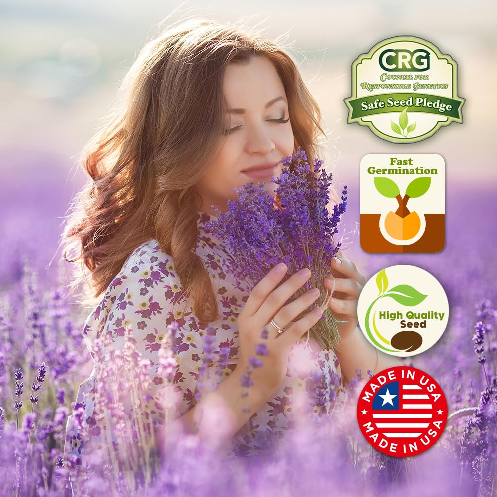 Beauty Beyond Belief sun-loving varieties thrive with 4-6 hours of sun daily.