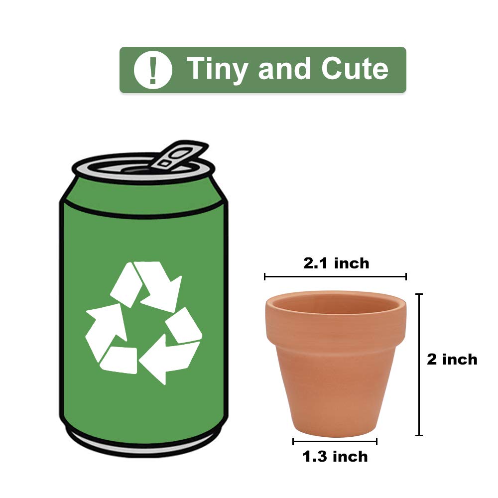 Becory terracotta pot with 1.3 inch base for compact herbs and tiny plants.