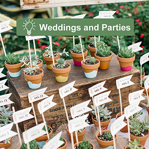 Becory 2-inch high pots ideal for neat indoor display of herbs or succulents.