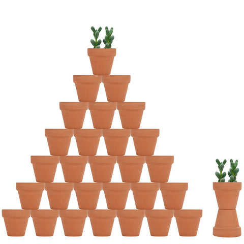 Becory 32-piece mini terracotta pots with 2.1 inch opening for small succulents.