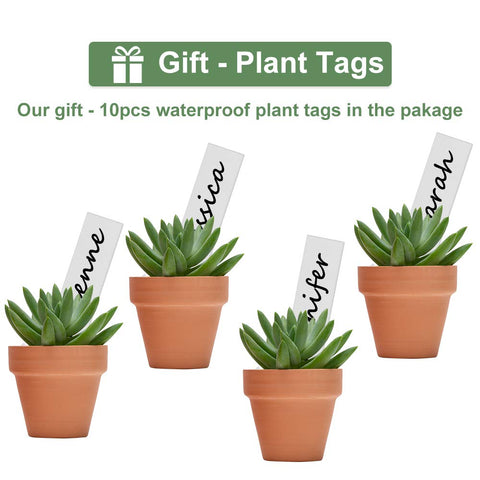 Becory mini pots support propagation of succulents and herbs.