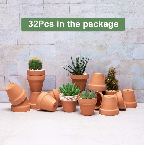 Becory tiny planters suitable as wedding or party favors.