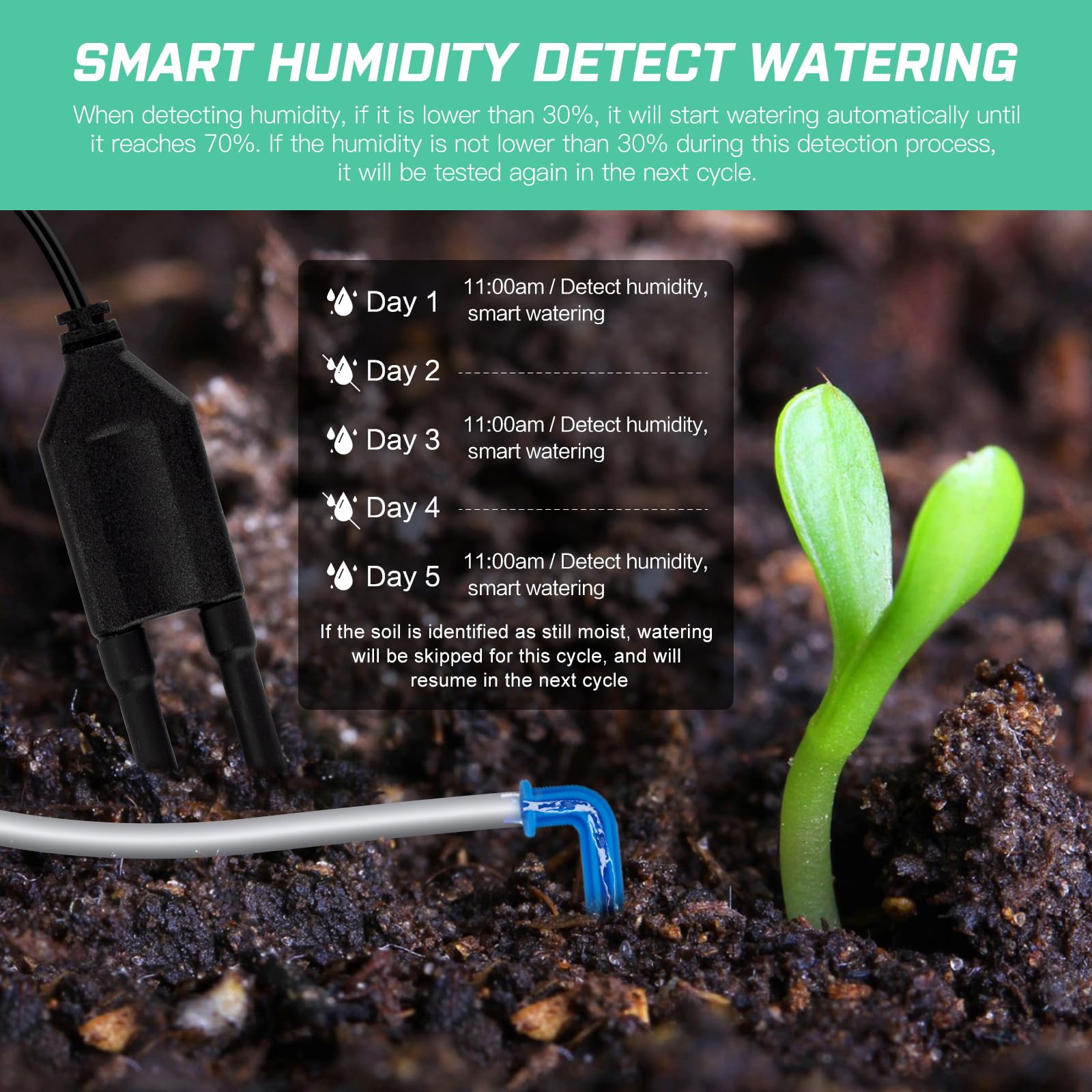 Beday blue design self-watering system enhances indoor plant care aesthetics