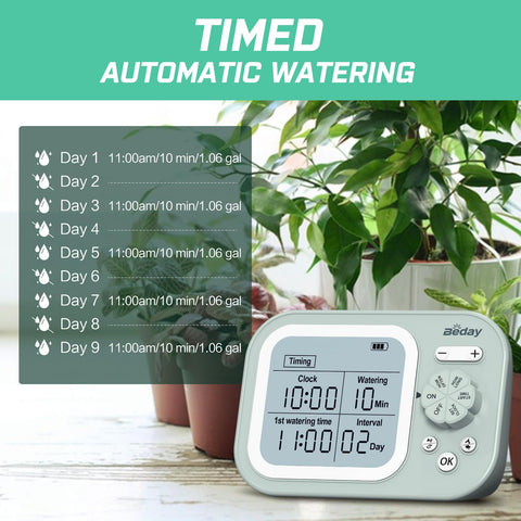 Beday coverage for 15 pots with organized tubing enables efficient irrigation.
