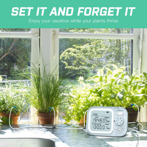 Beday self-watering system timer enables consistent indoor irrigation