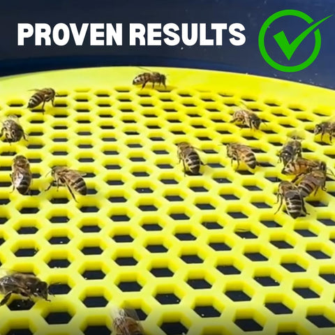 Bee Pontoon lifetime warranty protects your investment and peace of mind.
