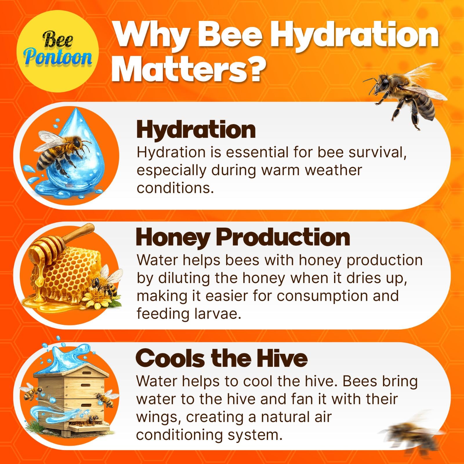 Bee Pontoon wildlife-friendly design supports a biodiverse garden environment.