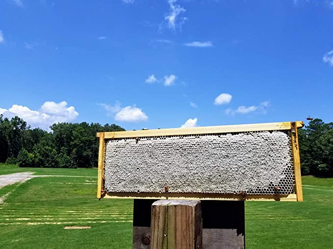 Bee-Quick bees leaving supers after treatment, ready for harvest
