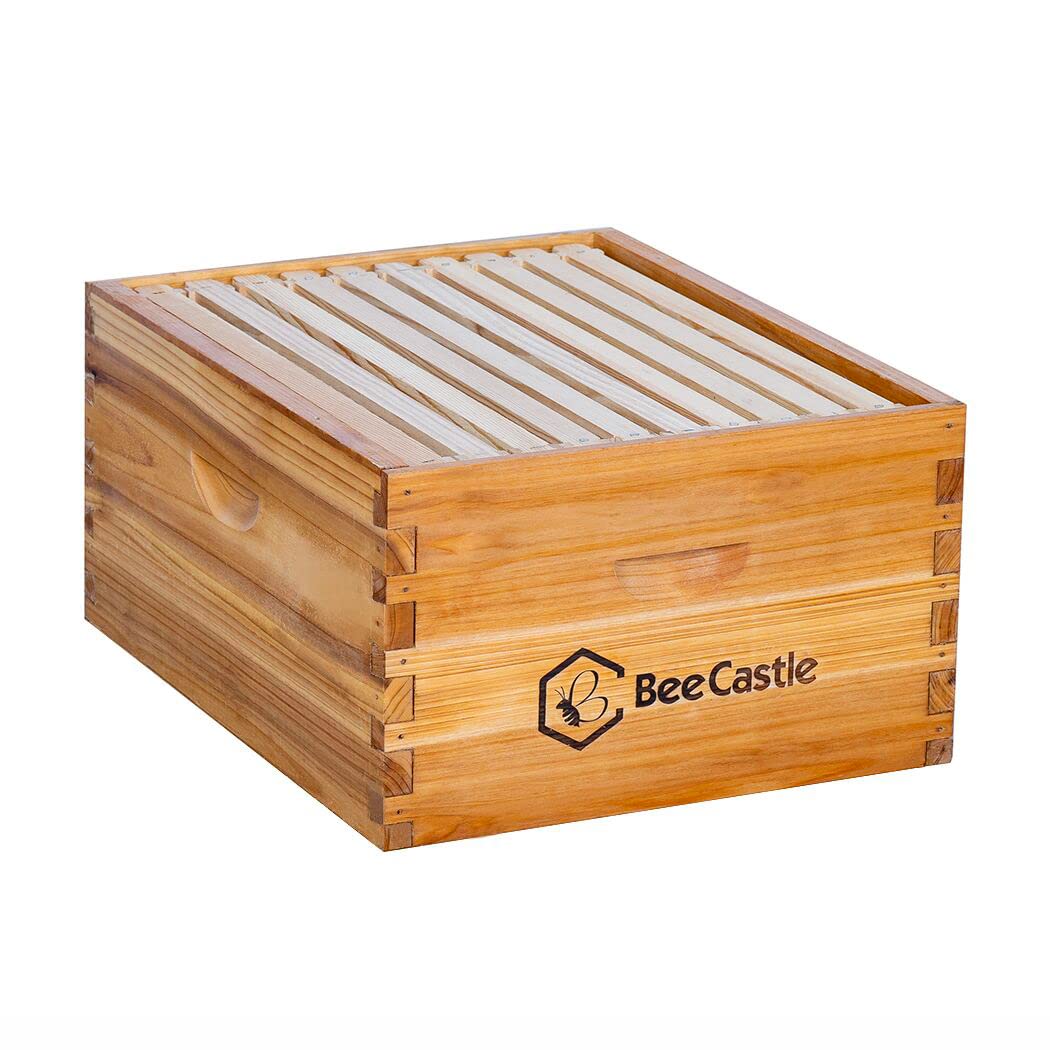 BeeCastle 10-frame deep brood box for standard Langstroth hives