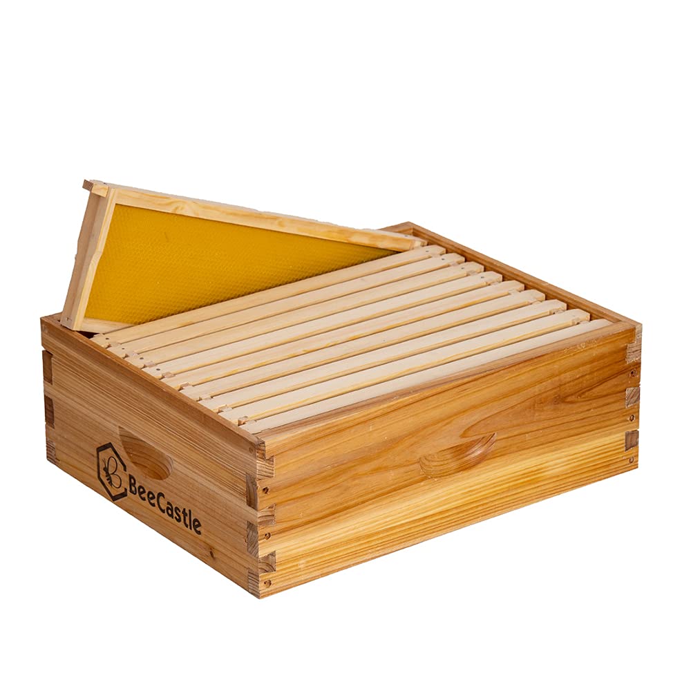 BeeCastle 10-frame honey super assembled for immediate hive setup