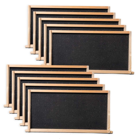 BeeCastle 10-pack beehive frames for deep brood compatible with Langstroth hives
