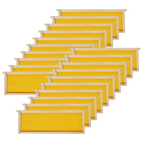 BeeCastle 20-pack frames with waxed foundations ready for Langstroth medium boxes.