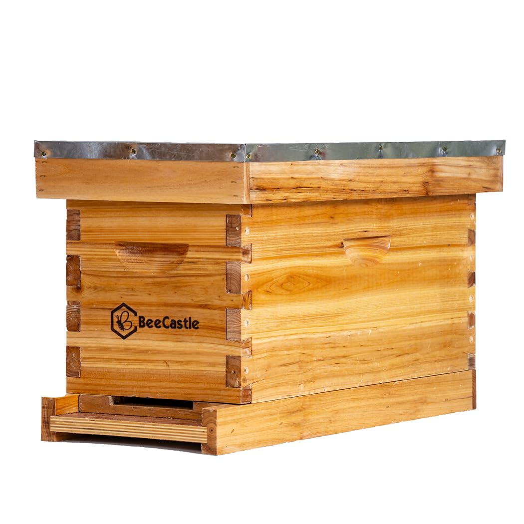 BeeCastle 5-frame nuc box with beeswax coating for durability and weather resistance.