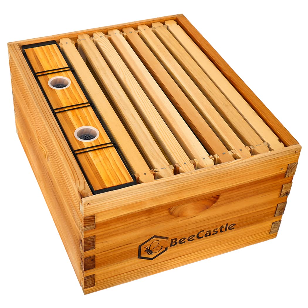 BeeCastle Bee Pro Feeder dimensions 19x3.14x9.05 inches fits hive interior.